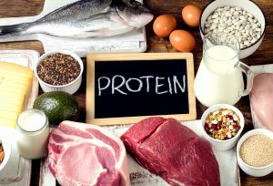 protein and dieting